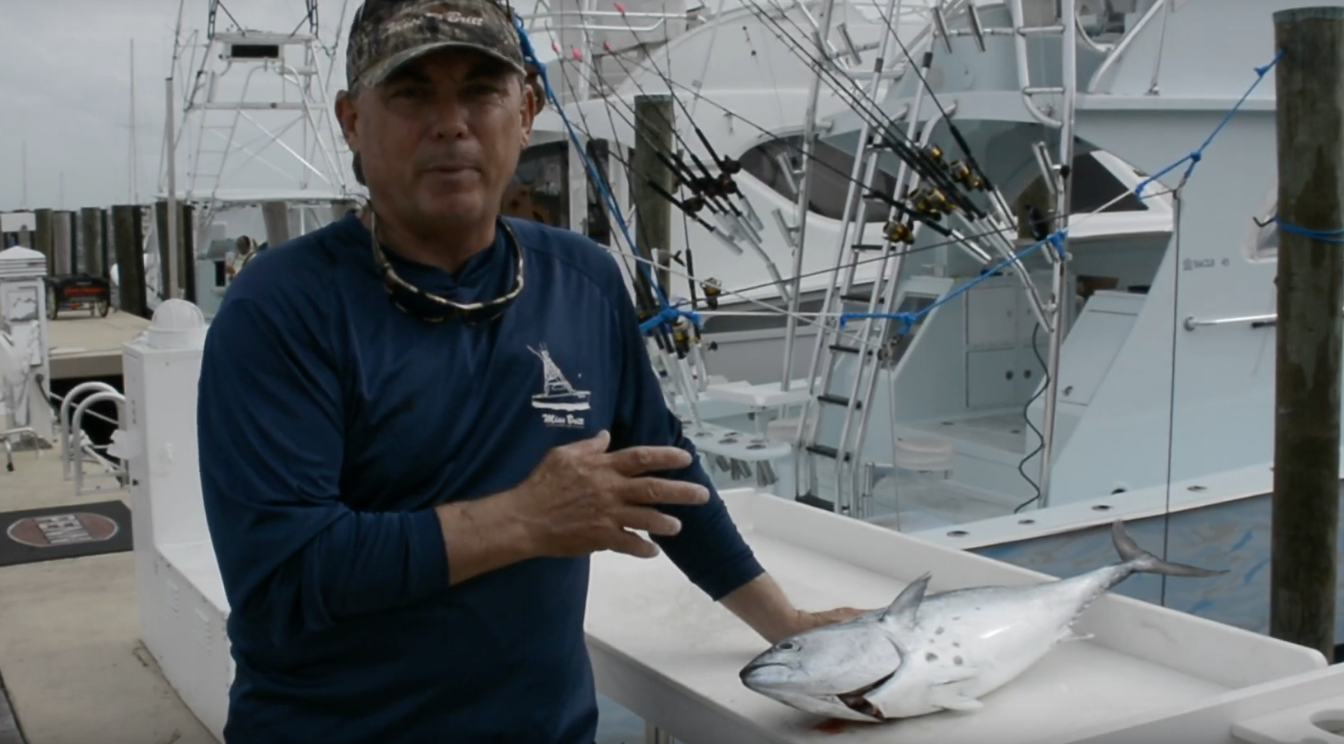 Fishing Tips from Captain Ray Rosher
