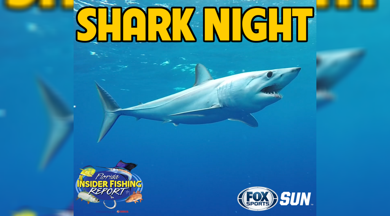 Catch Florida Insider Fishing Report Episode 21 – Shark Night