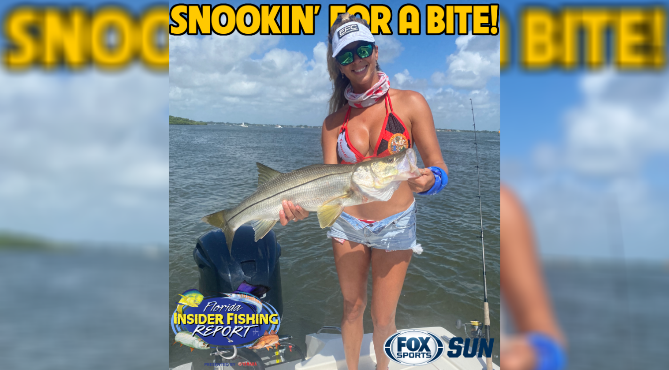 Catch Snookin' For A Bite on This Week's Florida Insider Fishing Report