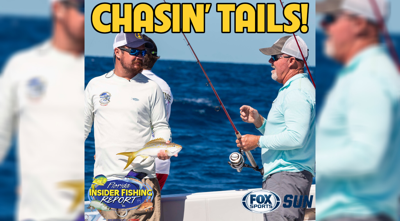 Catch Episode 23 of Florida Insider Fishing Report Chasin' Tails