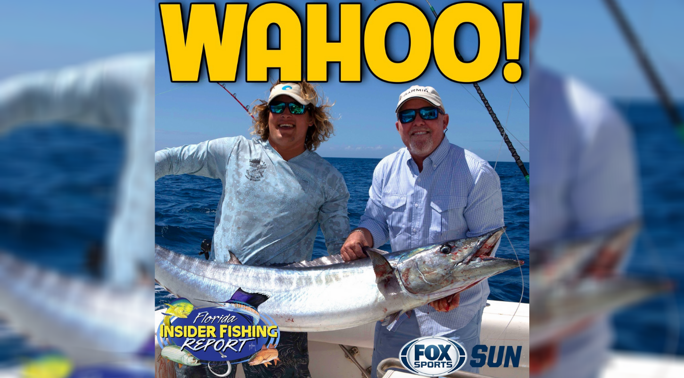 Catch Episode 24 of Florida Insider Fishing Report – Wahoo!