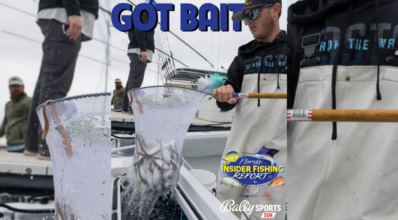2021 Florida Insider Fishing Report Episode 8 – Bait