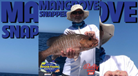 2021 Florida Insider Fishing Report Episode 17 – Mangrove Snapper