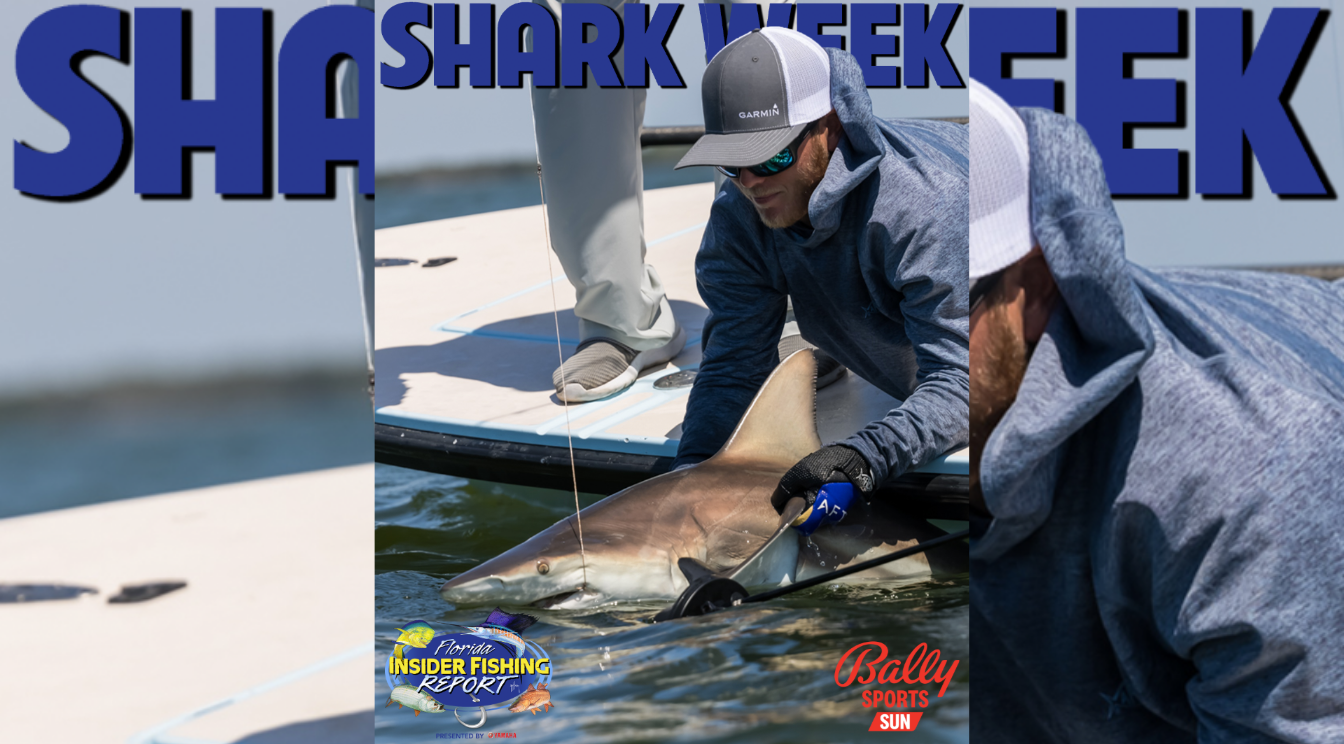 2021 Florida Insider Fishing Report Episode 20 – Shark