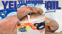 2021 Florida Insider Fishing Report Episode 23 – Yellowtail