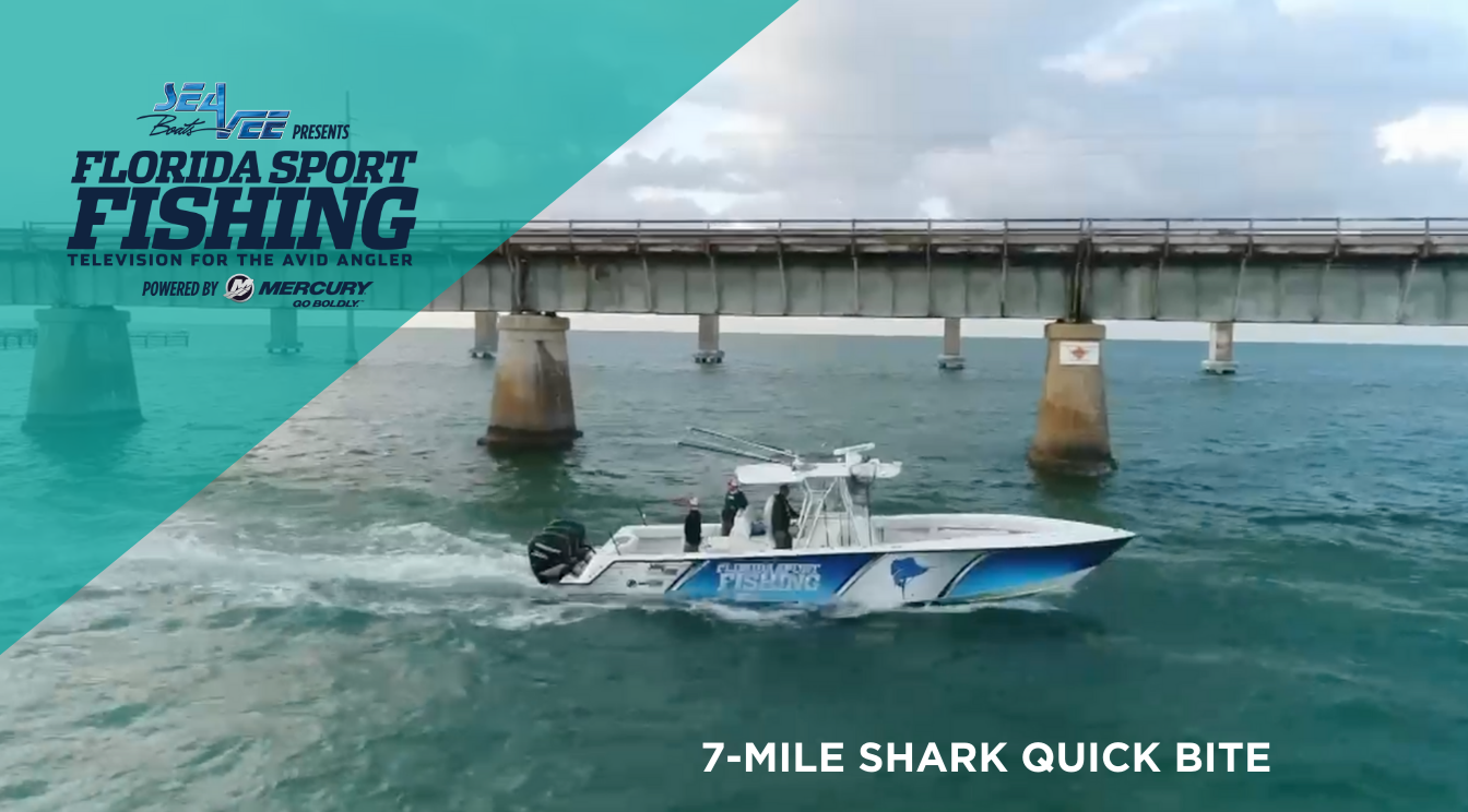 Florida Sport Fishing TV Episode 5 – 7-Mile Shark Quick Bite