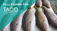 Fall Sport Fishing Tips from 2 Pros