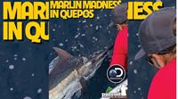 Sportsman's Adventures 2022 Episode 3 –Marlin Madness in Quepos
