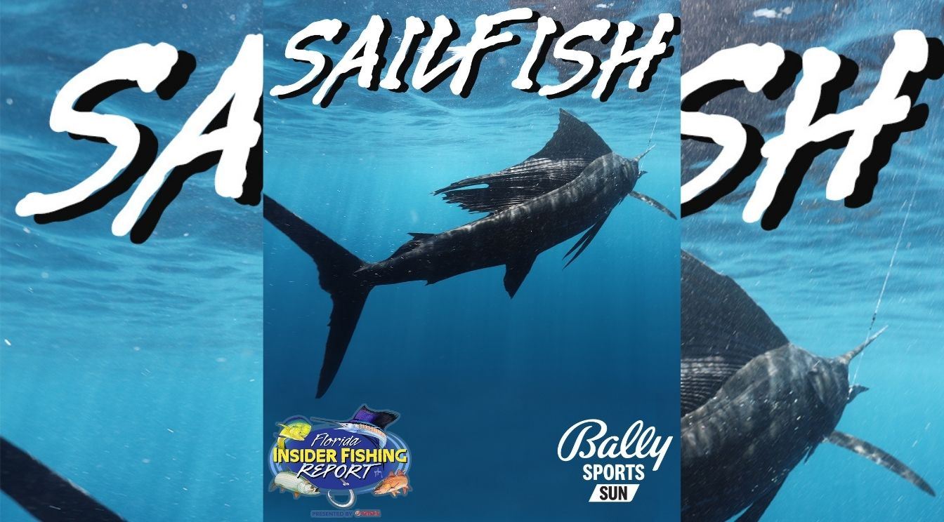 2022 Florida Insider Fishing Report Episode 2 – Sailfish