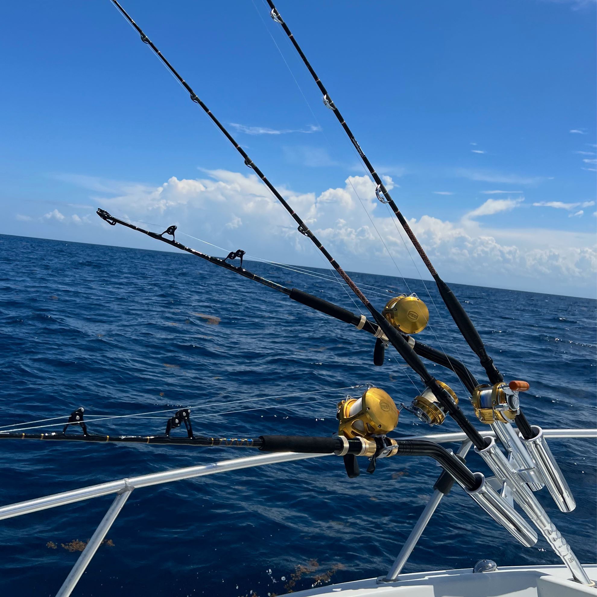 TACO Marine Kite Fishing Rod Cluster