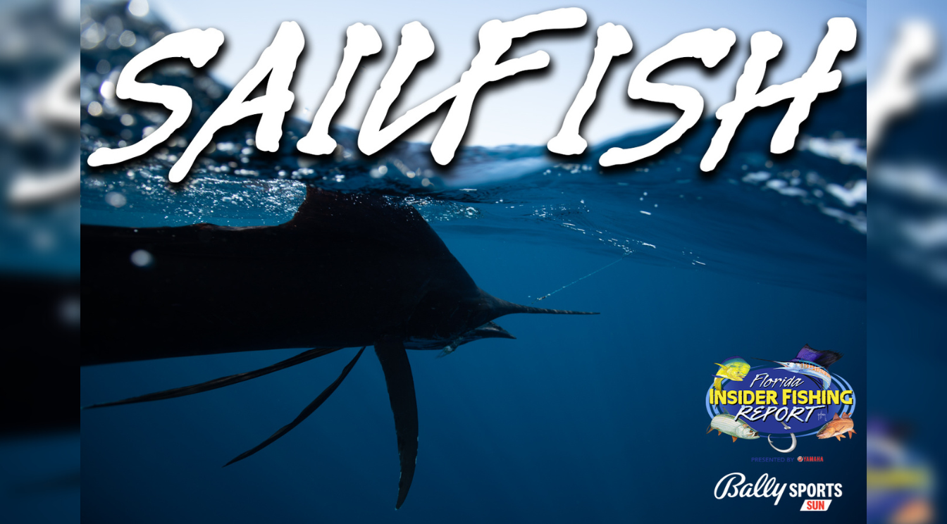 2023 Florida Insider Fishing Report Ep 3 - Sailfish