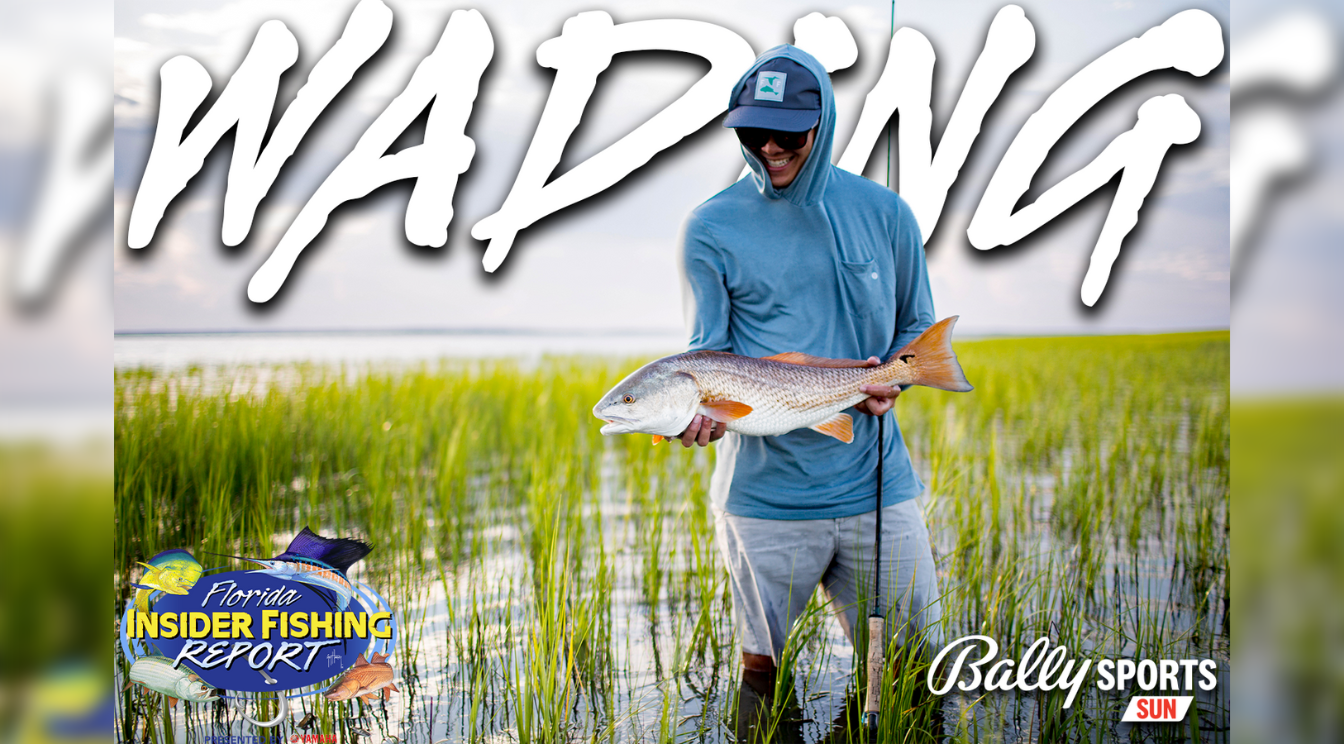 2023 Florida Insider Fishing Report Ep 11 - Wading