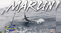 2023 Florida Insider Fishing Report Ep 14 - Marlin