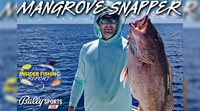 2023 Florida Insider Fishing Report Ep 15 - Mangrove Snapper