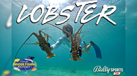 2023 Florida Insider Fishing Report Ep 17 - Lobster