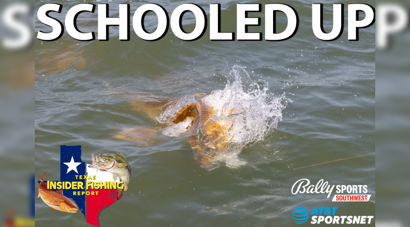 2023 Texas Insider Fishing Report Ep 17 - Schooled Up!