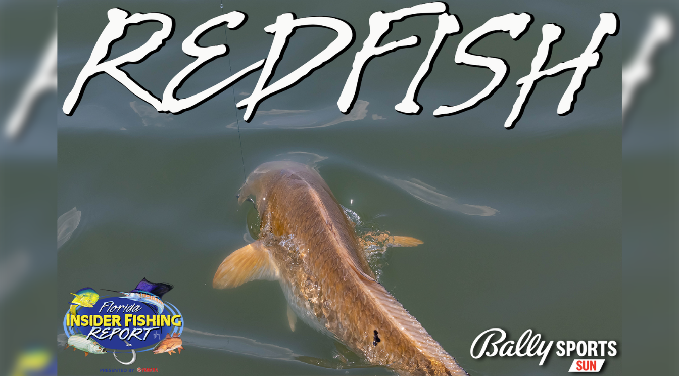 2023 Florida Insider Fishing Report Ep 19 - Redfish!