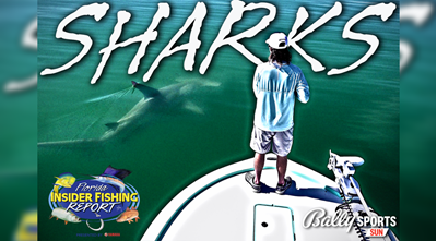 Taco Marine Florida Insider Fishing Report Ep Sharks Taco Marine Florida