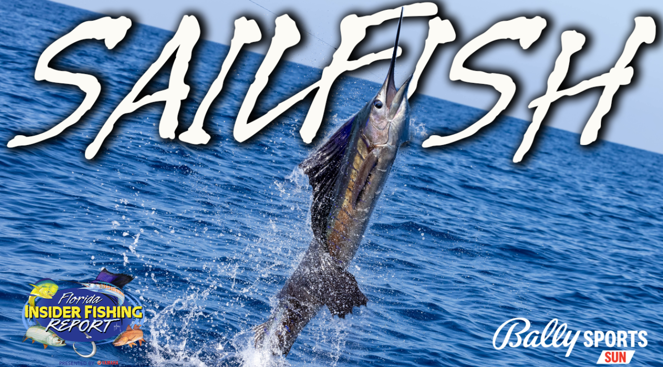 2024 Florida Insider Fishing Report Ep 1 - Sailfish