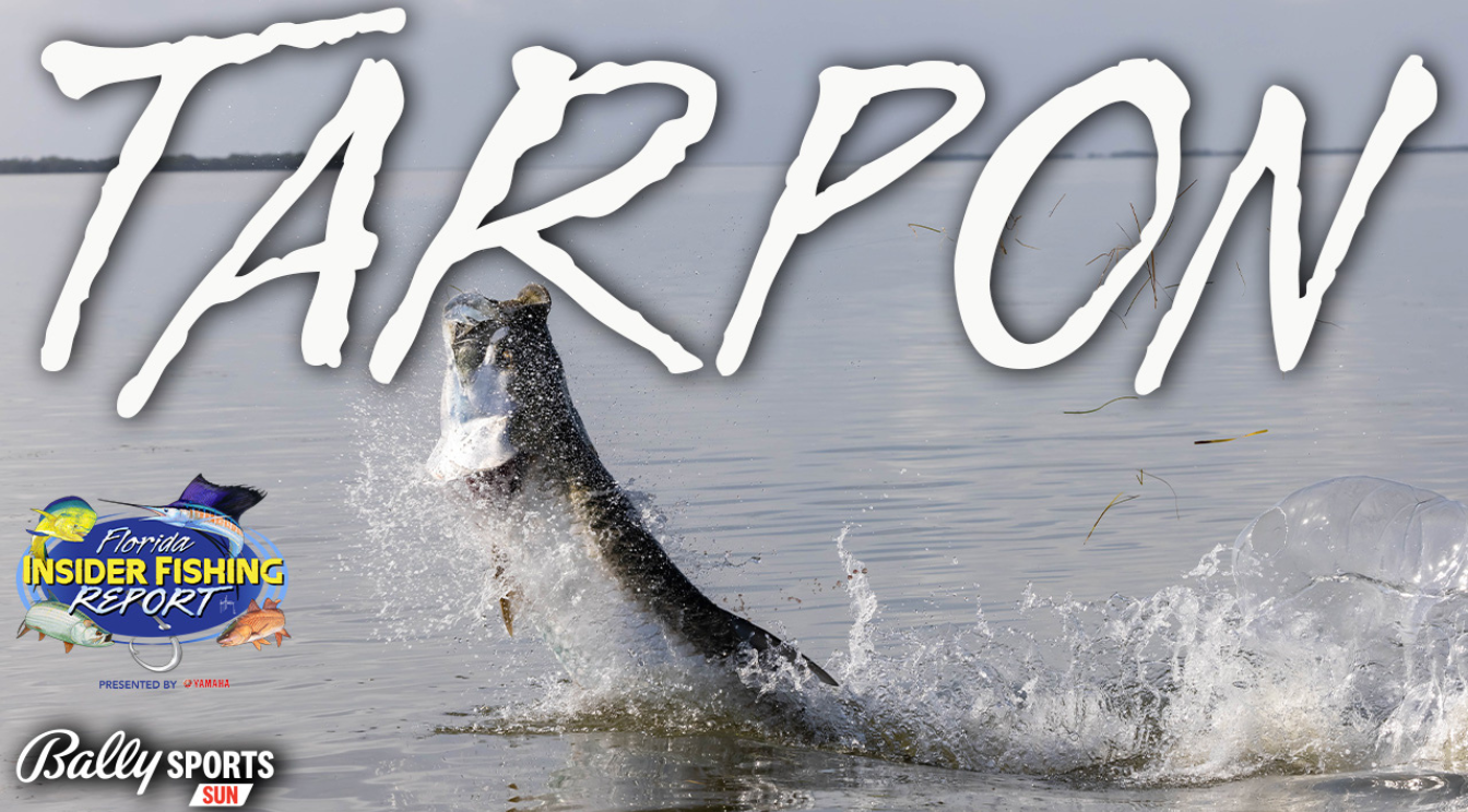 2024 Florida Insider Fishing Report Ep 6 - Tarpon