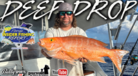 2024 Florida Insider Fishing Report Ep 14 - Deep Drop!