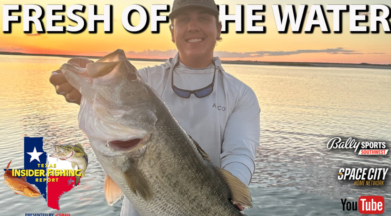 2024 Texas Insider Fishing Report Ep 16 – Fresh off the Water