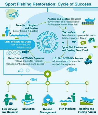 Sport Fishing Restoration: How Anglers & State Agencies Work Together