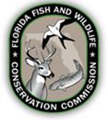 License-free Florida Fishing: June 13-14