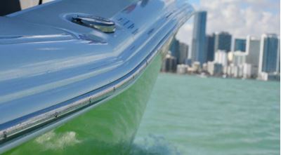 Save $50 When You Purchase a TACO Marine Vinyl Rub Rail Kit