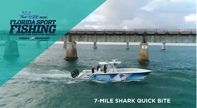 Florida Sport Fishing TV Episode 5 – 7-Mile Shark Quick Bite