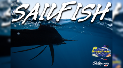 2023 Florida Insider Fishing Report Ep 3 - Sailfish