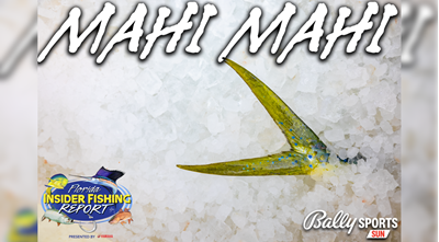 2023 Florida Insider Fishing Report Ep 16 - Mahi Mahi