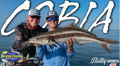 2024 Florida Insider Fishing Report Ep 3 - Cobia