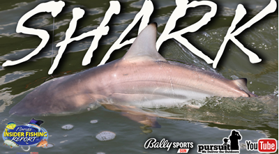 2024 Florida Insider Fishing Report Ep 18 – Shark!